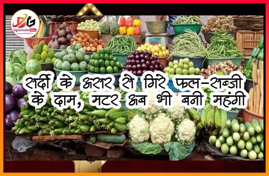 सर्दी के असर से गिरे फल-सब्जी के दाम, मटर अब भी बनी महंगी